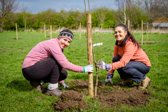 Tree planters