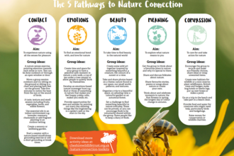 5 pathways to nature