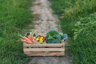 vegetables
