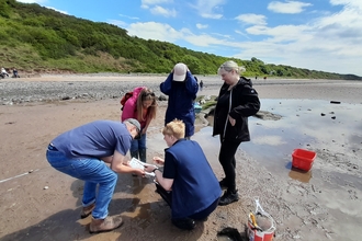 People gathered on a beach looking at items found in the strandline bought in by the tide.