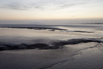 Mudflat