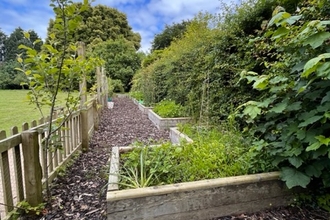 Image of a fenced off gardening area at a primary school, with raised wooden beds and fruit trees next to a hedge.