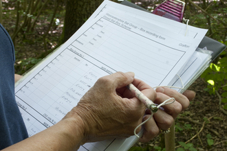 A clipboard in a woodland with someone writing a survey