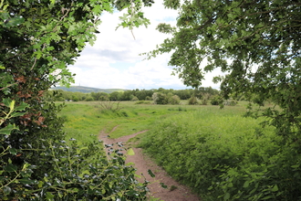 View of Danes Moss Nature Reserve through the trees