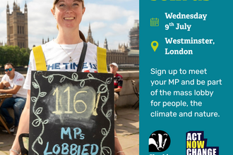 Mass Lobby Promotion