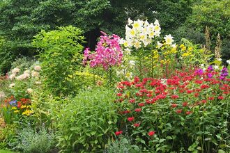 Rowley House Gardens