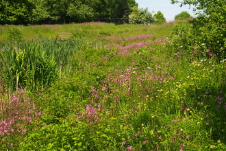Rowley House Gardens