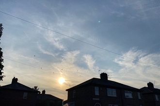 Swifts dance across the sky across a housing estate in Warrington, Cheshire.