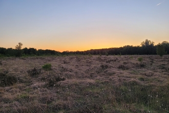 Holcroft Moss