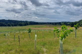 Saltersford Farm Tree Planting