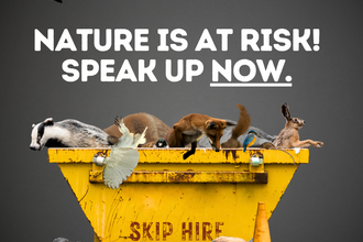 British wildlife climbing out of a skip with text above reading Nature is at risk speak up now #CashToTrash