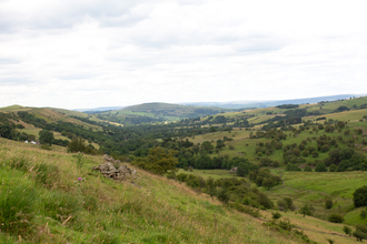 Aldred's Lea