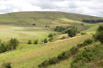 Aldred's Lea
