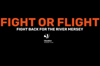 Fight or Flight: Fight back for the River Mersey - banner