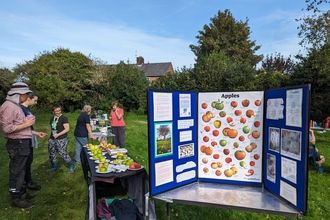 Wirral Wildlife's Apple Afternoon at New Ferry Butterfly Park.