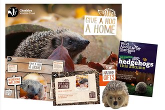 Hedgehog Adoption Pack