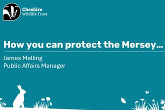 PPP slide from webinar