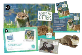 Otter Adoption Pack
