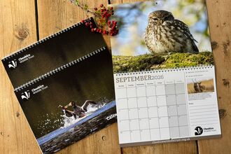 Calendars with berries