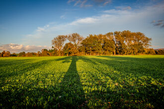 A field in Adlington with trees in the background - Mark Hadfield - Gekko Media
