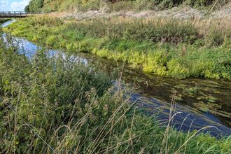 River Gowy at Picton Meadows
