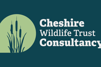 CWTC Logo