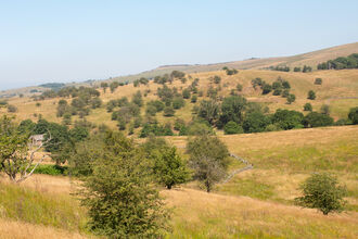 Image of Fox Hill