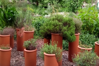 container planting