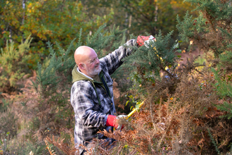 Volunteers cutting bushes