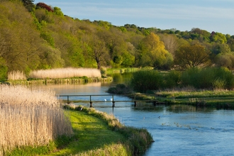 habitat