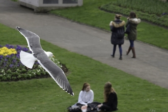 People having lunch outside