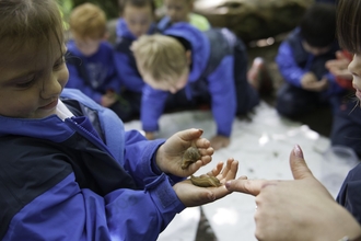Forest schools 