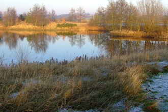 wetland