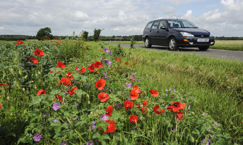 road verge car