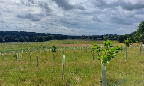 Saltersford Farm Tree Planting