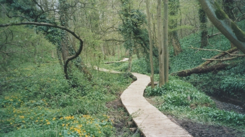 Cotteril Clough nature reserve