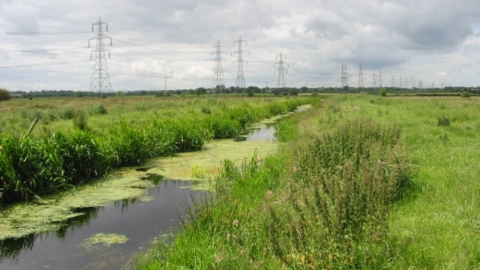 Gowy Meadows Nature Reserve