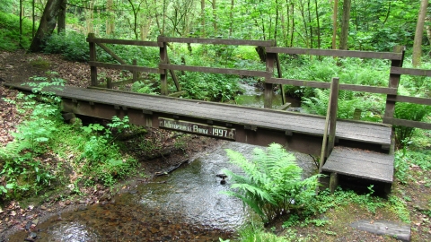 Eastwood Nature Reserve