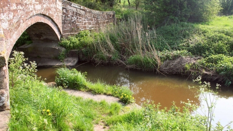 Hockenhall Platts nature reserve