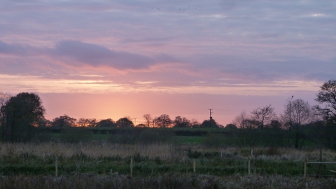 Sunset from Bagmere nature reserve c. Claire Huxley