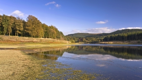 Trentabank Nature Reserve c. George Bayode