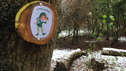 Black Firs Christmas Trail