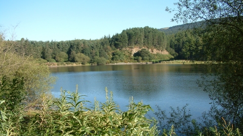 Trentabank Reservoir