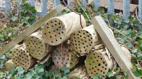 New Ferry Butterfly Park insect house c. Claire Huxley