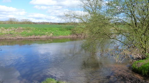 Owley Wood view