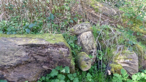 Owley Wood bench c. Claire Huxley