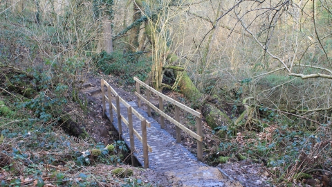 Bridge at Warburton's Wood
