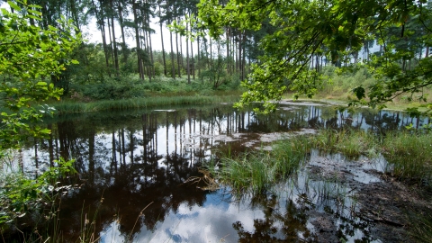 Black Lake c. Andrew Walmsley