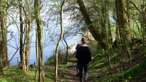 Walk Warburton's Wood c. Claire Huxley