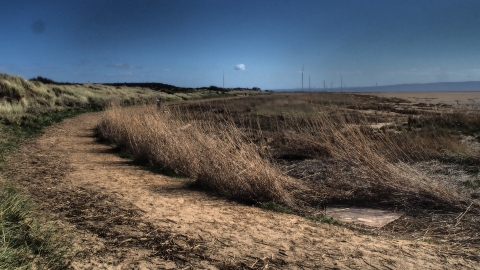 Red Rocks Marsh Nature Reserve c. Gemma Sproston